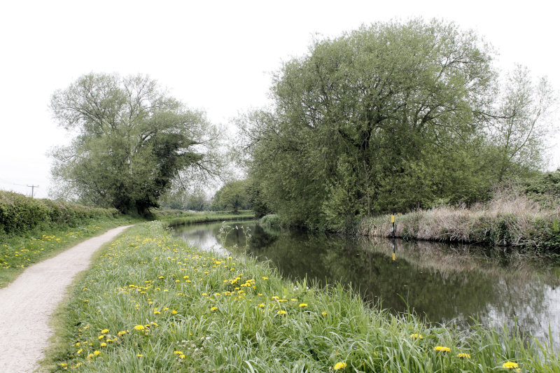 Trent & Mersey Canal Trent & Mersey Canal